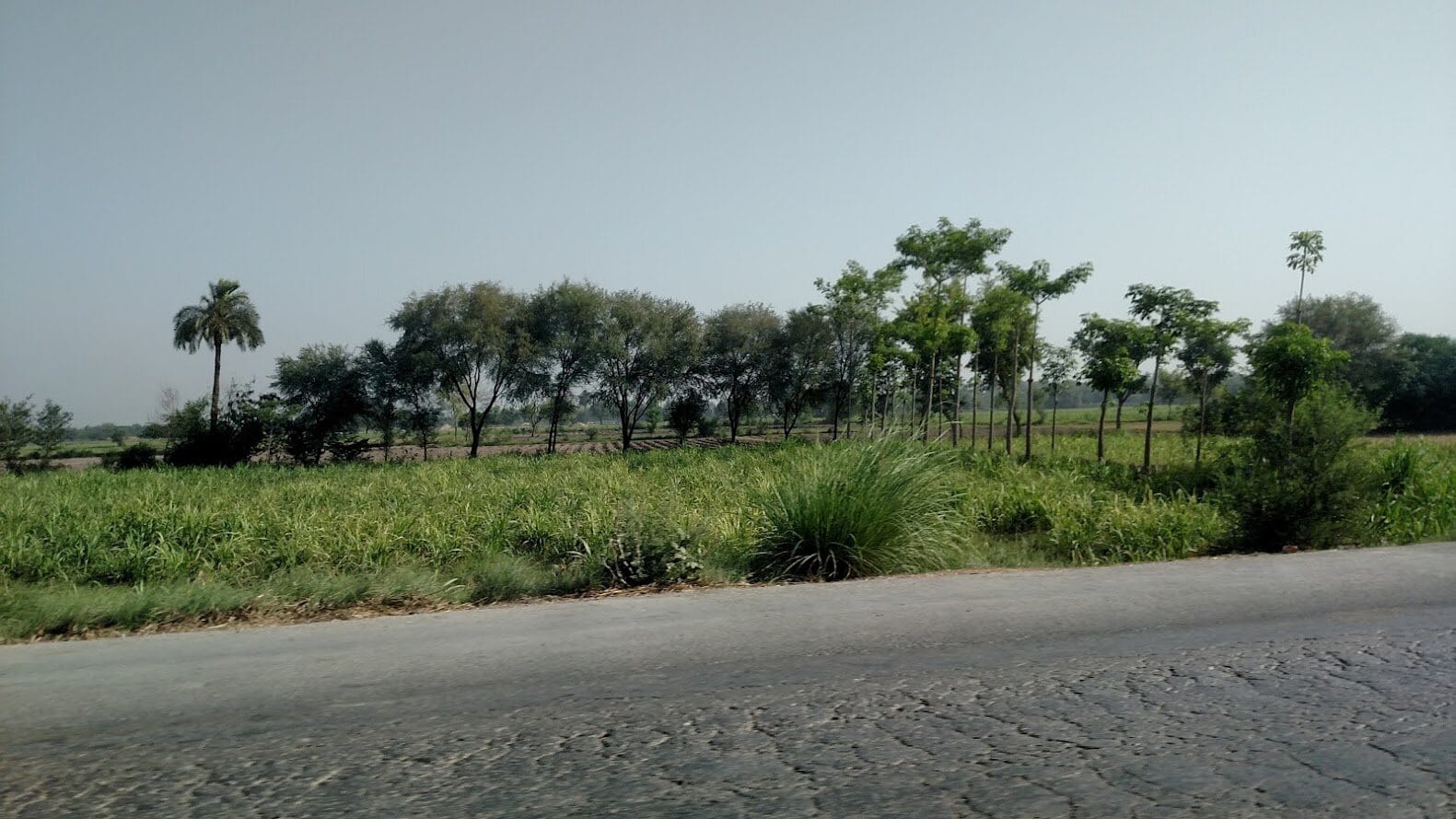 Day 2, mostly through the windscreen.