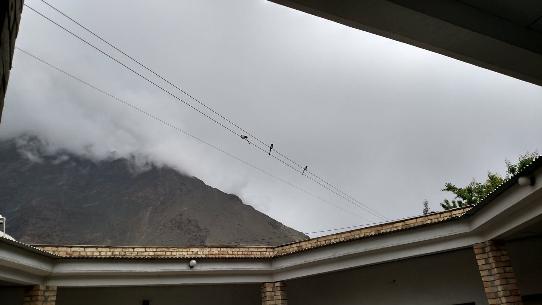 Day 9, morning: low cloud and wet flowers.